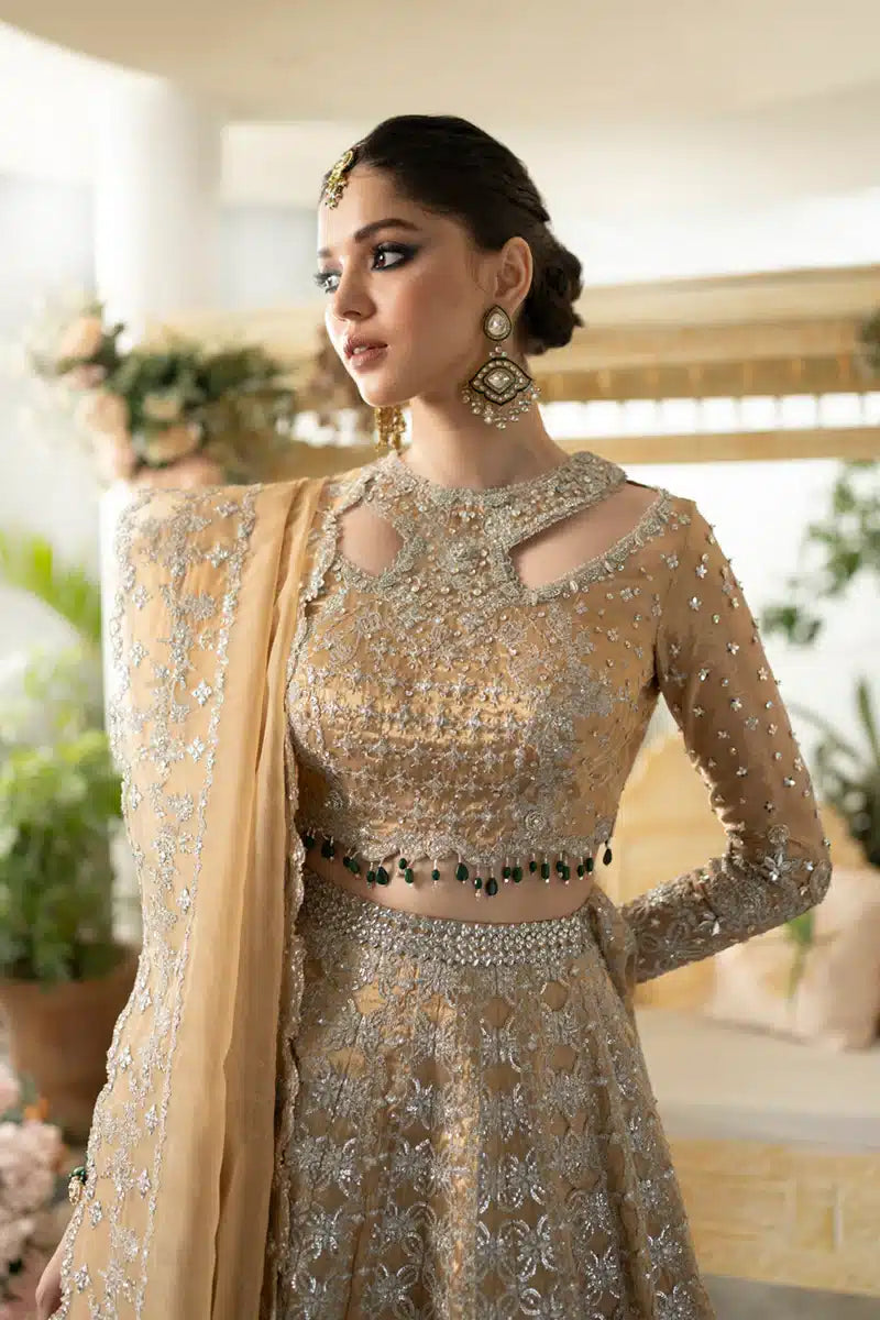 Qalamkar | Dilnaz Wedding Formals | DN-01 IMAAN - Khanumjan  Pakistani Clothes and Designer Dresses in UK, USA 