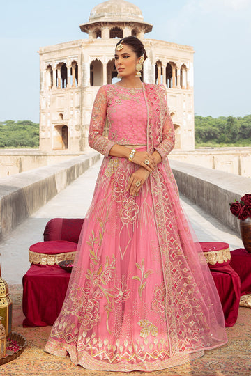 Naqshi | Wedding Formals | STARLING RISE