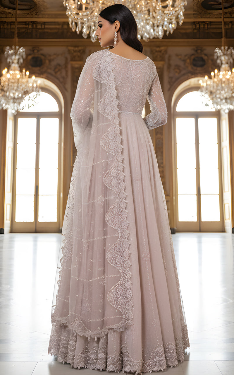 Threads and Motifs | Formal Dresses 25 | Net Embroidered Maxi