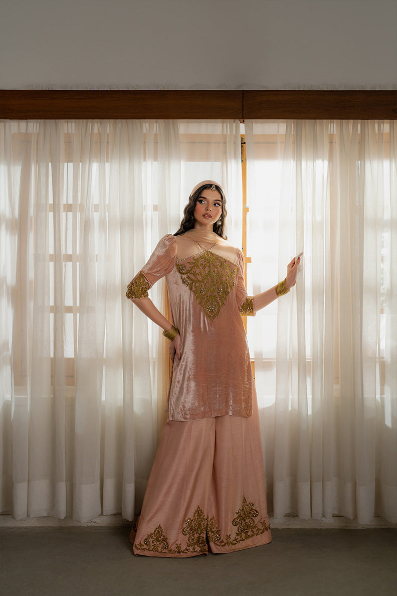 Caia | Luxury Velvet Edit 25 | Roselle (Pink)