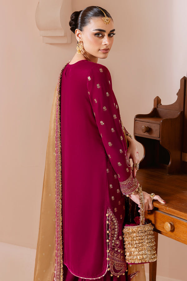 Jazmin | Chandni Velvet Formals 25 | Embroidered Velvet Formal CVF D-11