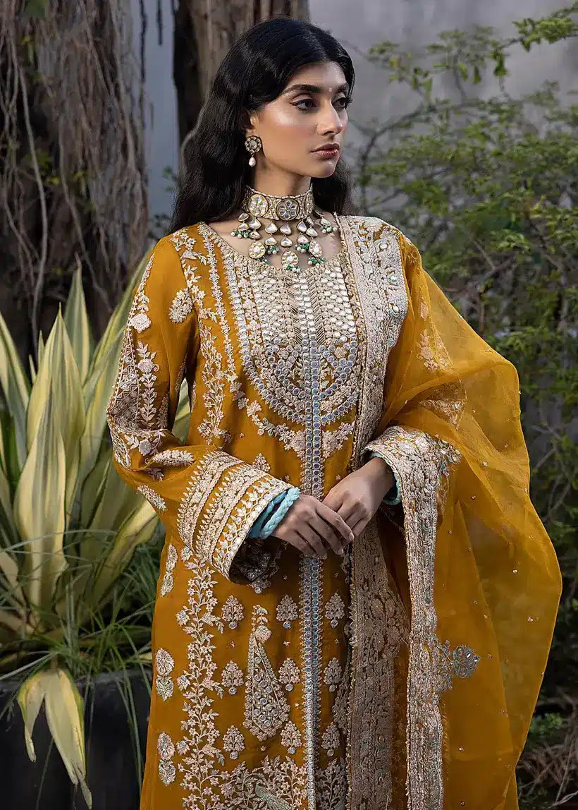 Ali Xesshan | Bhaag Lagay Rain | AMBER – LP-015 - Khanumjan  Pakistani Clothes and Designer Dresses in UK, USA 