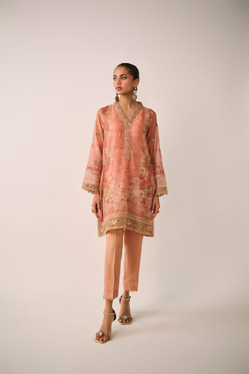 Dhanak | Festive Signature Pret | SS24DA-2477 RUST