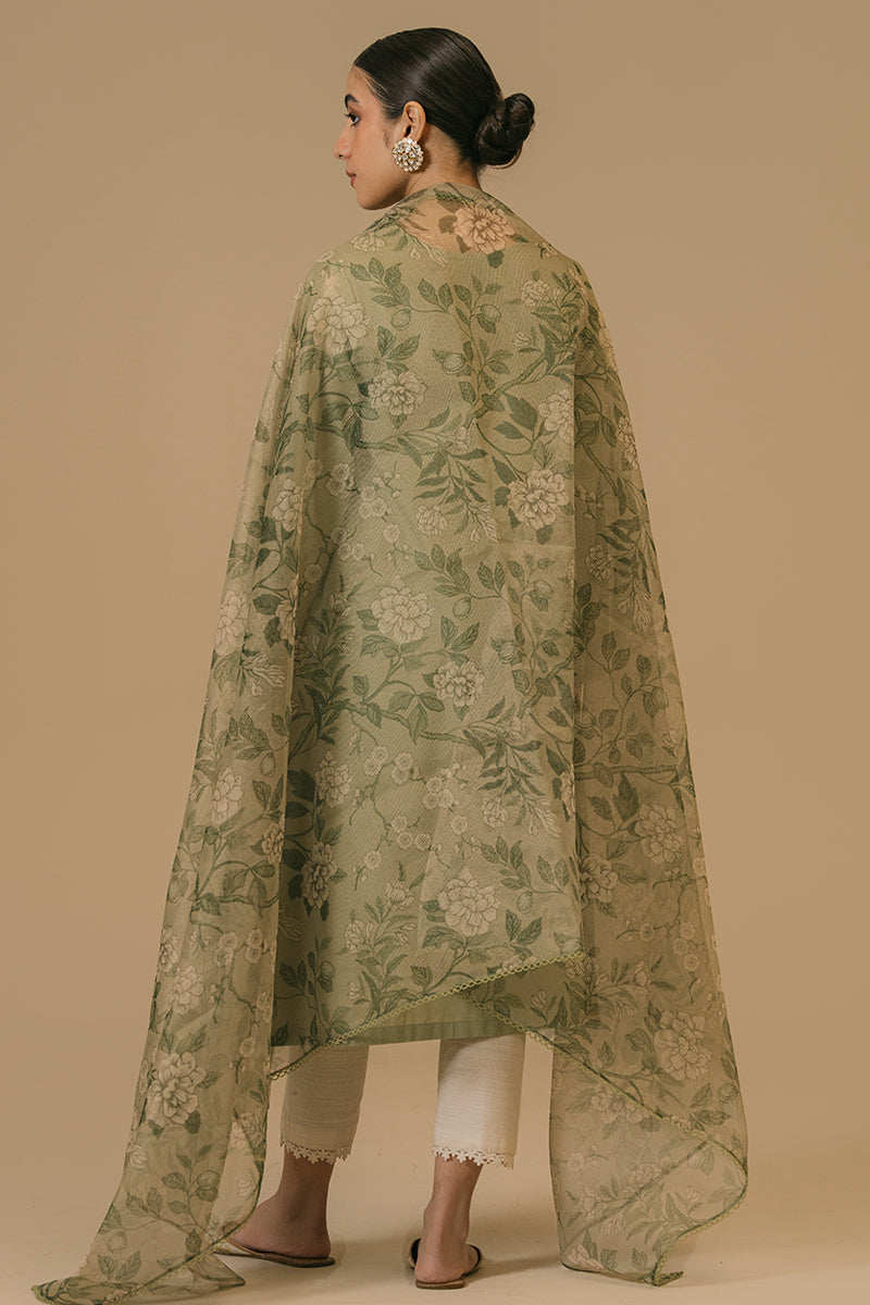 Cross Stitch | Eid Collection | OLIVE VISTA - Khanumjan  Pakistani Clothes and Designer Dresses in UK, USA 