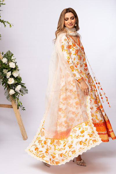 Amna Arshad | Zolu Collection 24 | Somaya