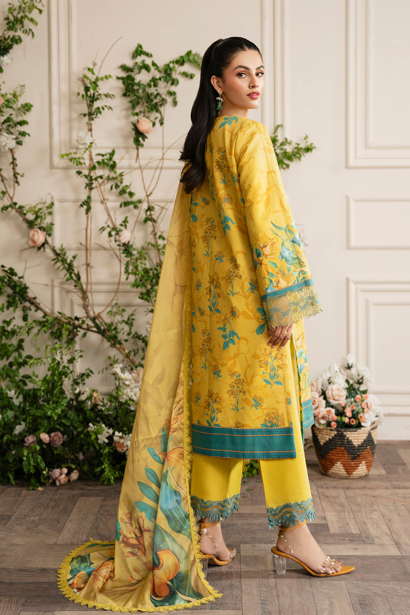 Rangrasiya | Lifestyle Embroidered Edit 24 | SERENA