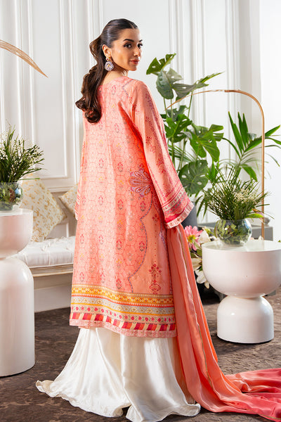 Amna Arshad | Zolu Collection 24 | Shenaya