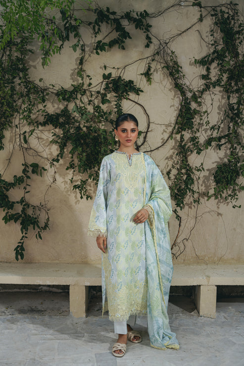 Aabyaan | Shezlin Chikankari 25 | MAYA (AF-08)