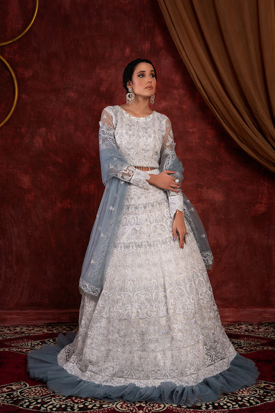 House of Nawab | Luxury Formals | GULCIN - Khanumjan  Pakistani Clothes and Designer Dresses in UK, USA 