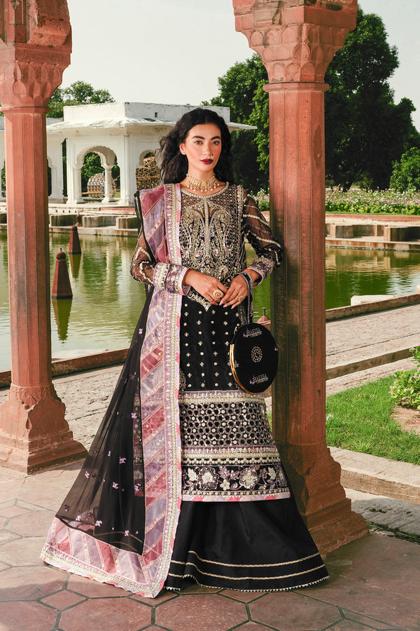 Raeesa Premium | Zauj Formals 25 | AAK - 02