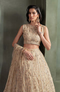 Zarif | Heritage Formals | ZHF 01 AVELINA - Khanumjan  Pakistani Clothes and Designer Dresses in UK, USA 