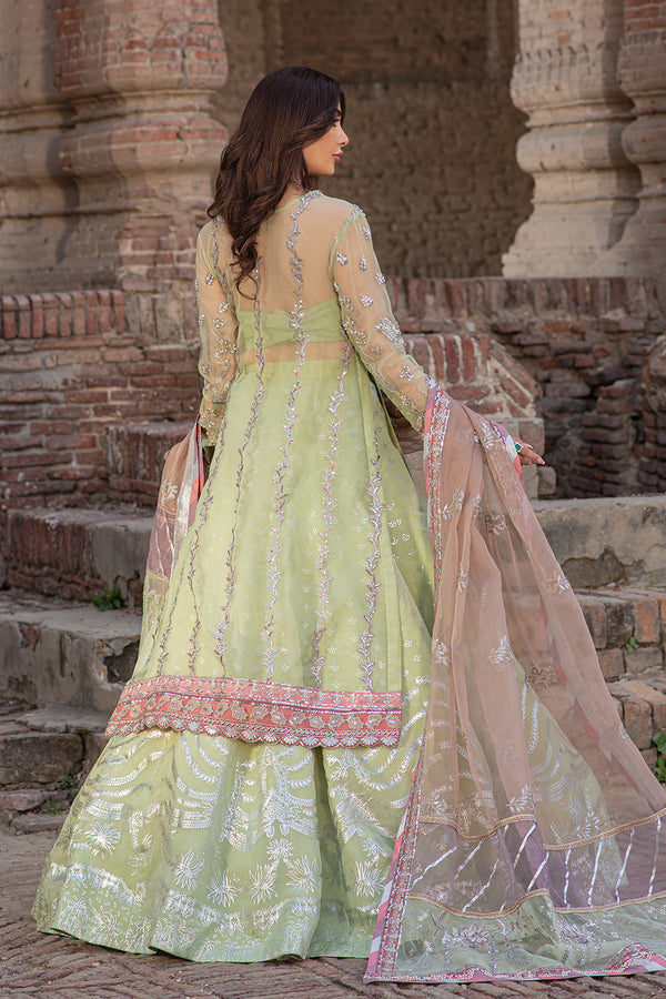 Mehak Yaqoob | Serene Wedding Formals | Dove