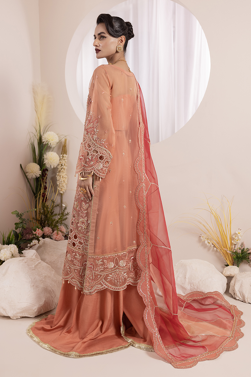 Diara Couture | Aaraish Formals |  NOSHEEN - US-645