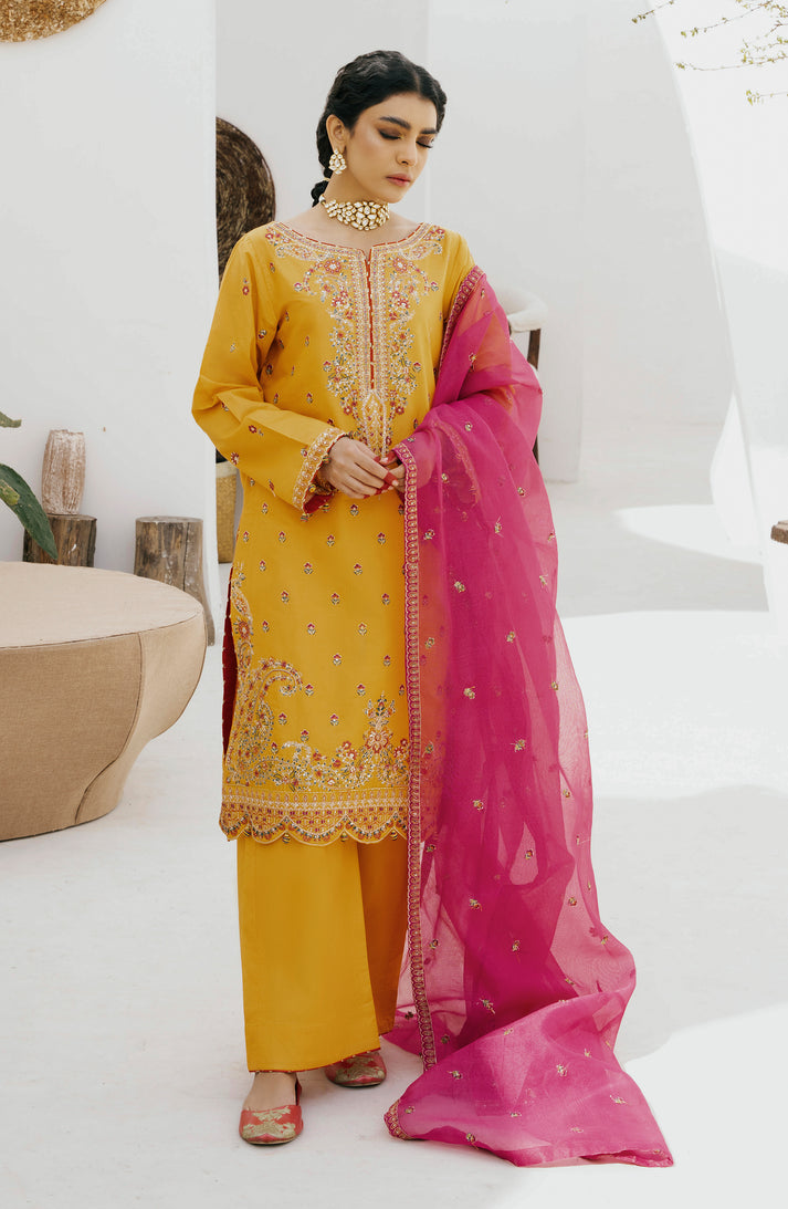 Emaan Adeel | Gul Mohr Eid Pret | WASHMA - Khanumjan  Pakistani Clothes and Designer Dresses in UK, USA 