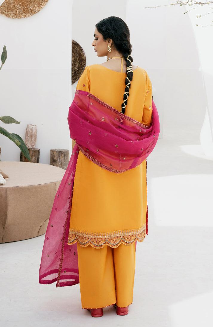 Emaan Adeel | Gul Mohr Eid Pret | WASHMA - Khanumjan  Pakistani Clothes and Designer Dresses in UK, USA 