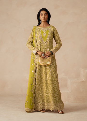 Fressia Premium | Premium Chiffon | FSU5617