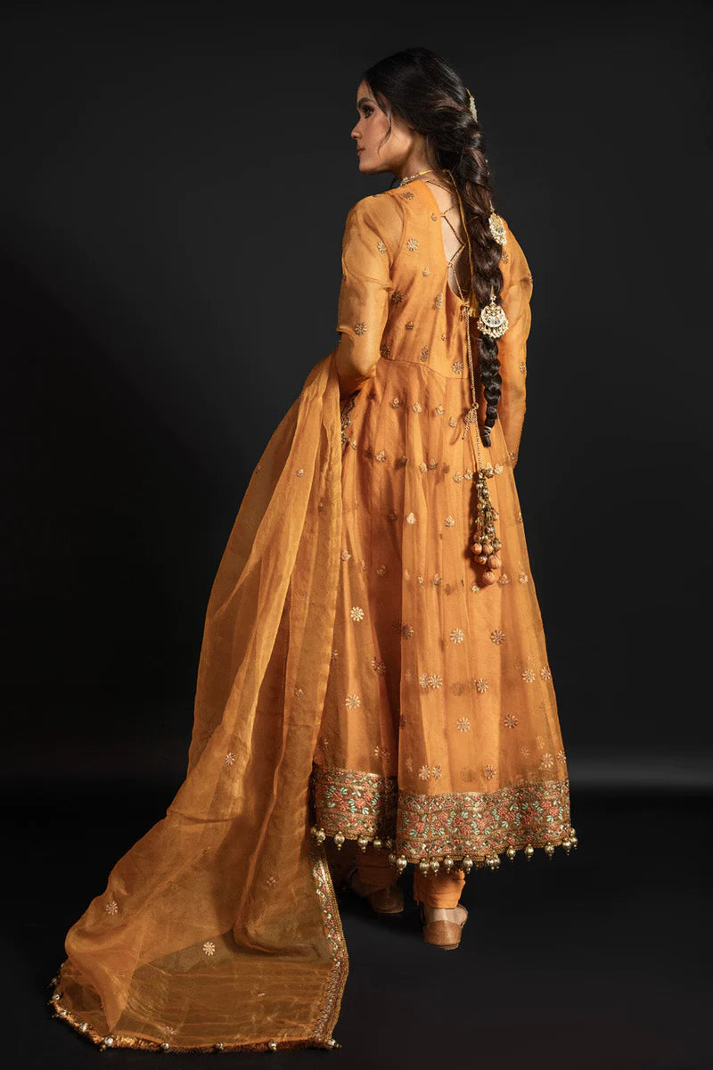 Alkaram | Heavy Formals 24 |  HF-05-24-Ochre - Khanumjan  Pakistani Clothes and Designer Dresses in UK, USA 