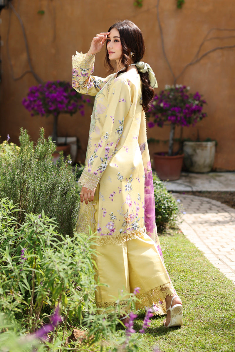 Rangrasiya | Lifestyle Summer 26 | Hazel