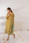 Hue Pret | Zara Suno Collection | ARZO - Khanumjan  Pakistani Clothes and Designer Dresses in UK, USA 