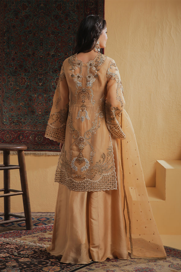 Shamaeel Ansari | Majestic Legacy | Amber Elixir