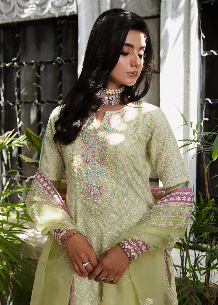 Maria Osama Khan | Rang e Noor Eid Edit | Nargis - Khanumjan  Pakistani Clothes and Designer Dresses in UK, USA 