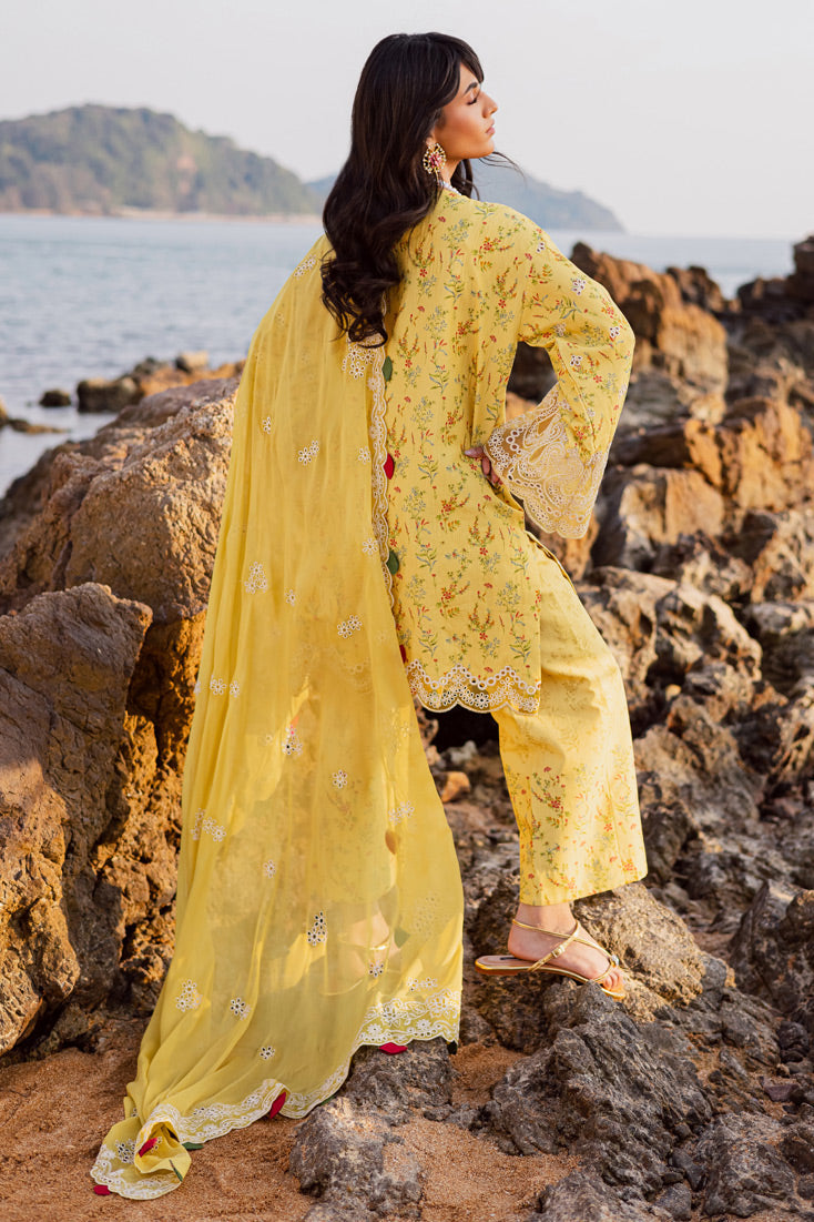 Marjjan | Sahil Lawn | MPL-87 A (Yellow)