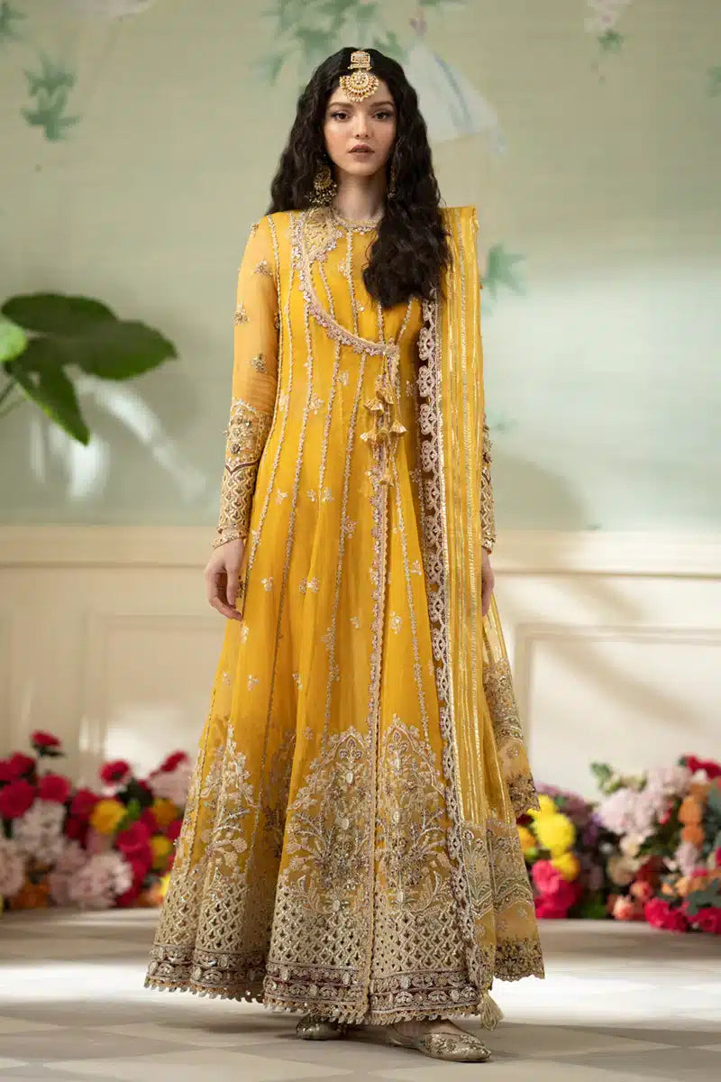 Qalamkar | Dilnaz Wedding Formals | DN-04 KANZA - Khanumjan  Pakistani Clothes and Designer Dresses in UK, USA 