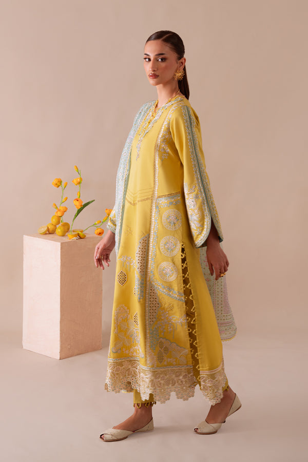Aabyaan | Miraal Signature Embroidered Viscose 25 | MEHRA