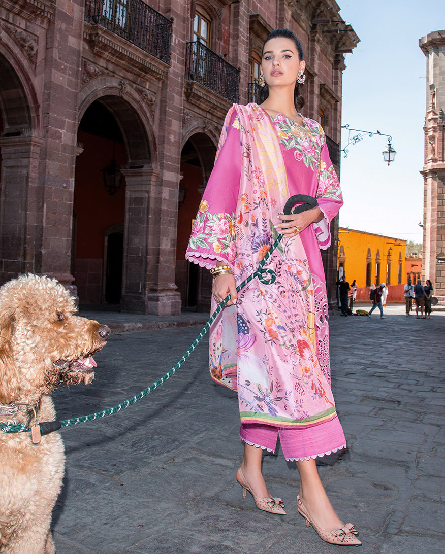 Mushq | Odyssey Lawn 26 | Meredith