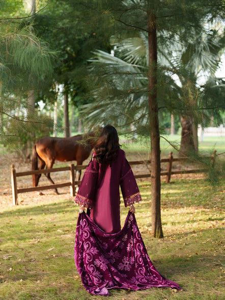 Parishay | Panache Luxury Winter 25 | PNE-04