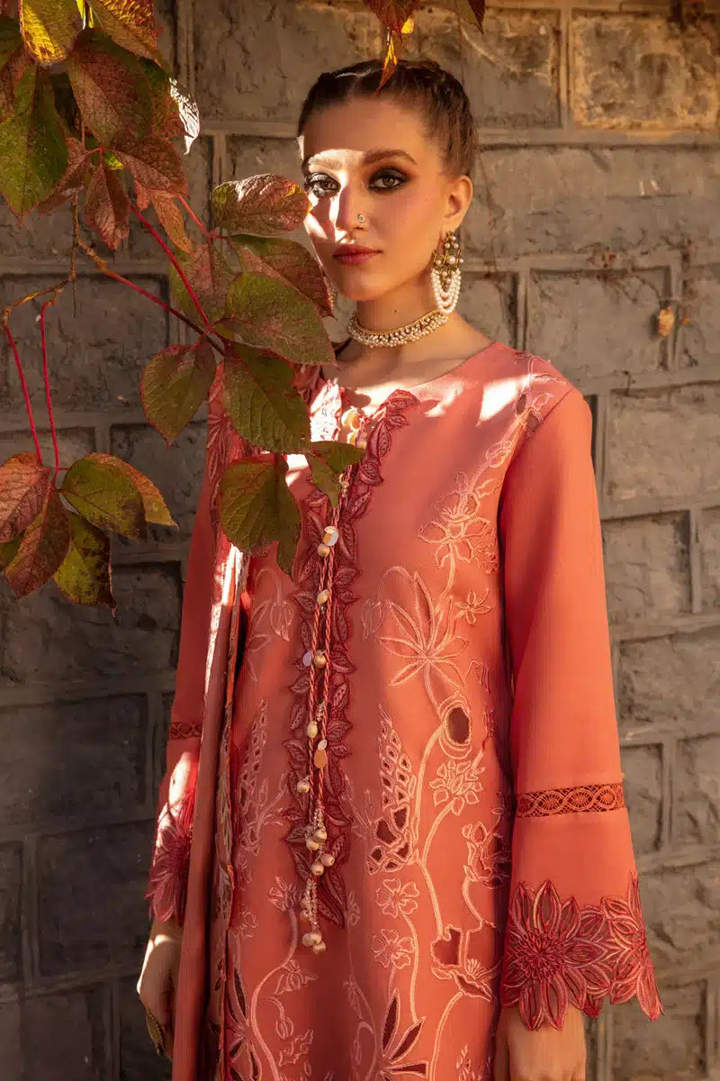 Rangrasiya | Premium Winter Collection 23 | Zufash - Khanumjan  Pakistani Clothes and Designer Dresses in UK, USA 