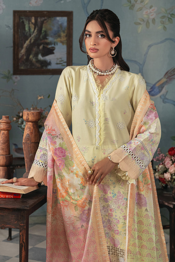 Rajbari | Chikankari Edition 24 | RJB-01 - Khanumjan  Pakistani Clothes and Designer Dresses in UK, USA 