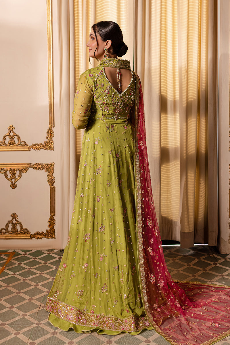 Roheenaz | Naira Chiffon 24 | Inaya