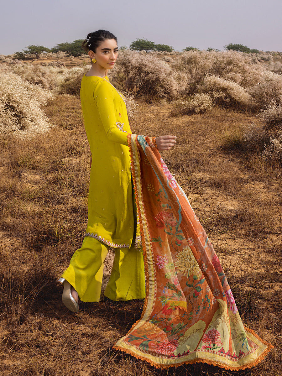 Salitex | Luxury Wear 24 | 26 - Khanumjan  Pakistani Clothes and Designer Dresses in UK, USA 