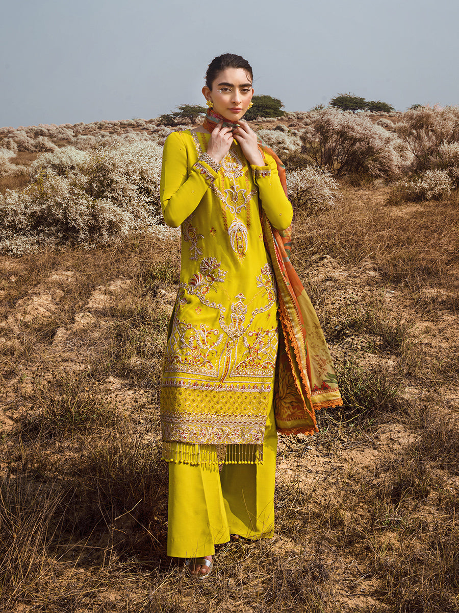 Salitex | Luxury Wear 24 | 26 - Khanumjan  Pakistani Clothes and Designer Dresses in UK, USA 