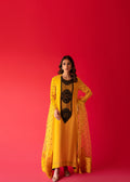 Sammy K | Taara Collection | SITARA - Khanumjan  Pakistani Clothes and Designer Dresses in UK, USA 