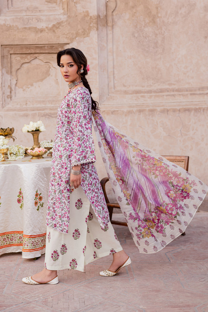 Batik | Winter 25 | Truce