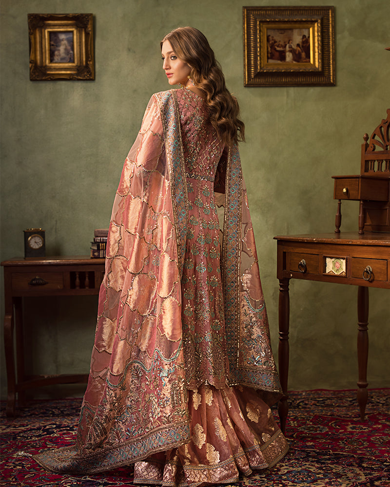 Ain | Aroosh Luxury Formals 24 | AR-96 ARZU (Pink)