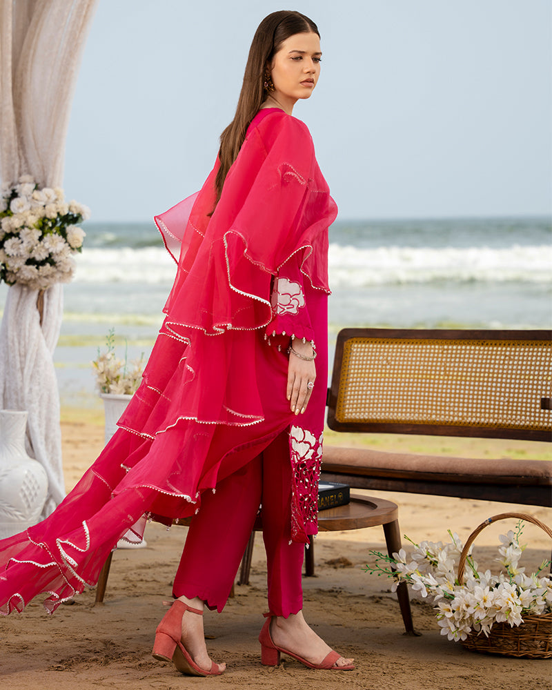 Ain | Leher Formal Luxury 25 |  AN-137