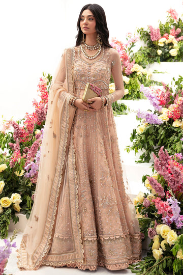 ZAHA | Luxury Collection | NEDA (ZC23-04)