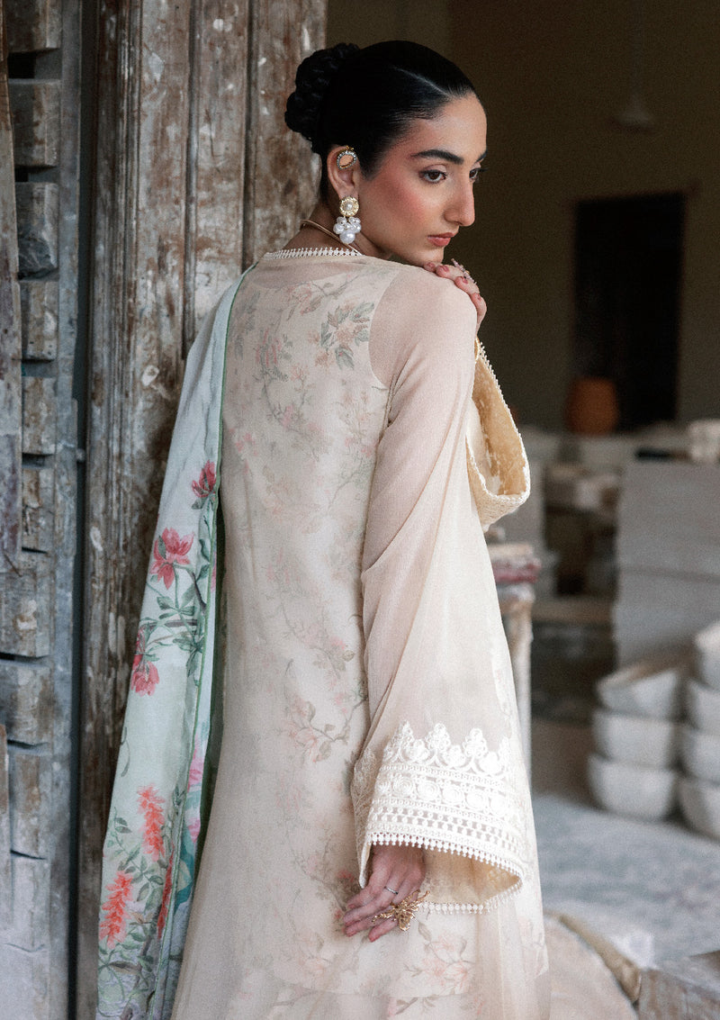 Aik Atelier | Lasy Aik 26 | Lady Aik - Look B2601