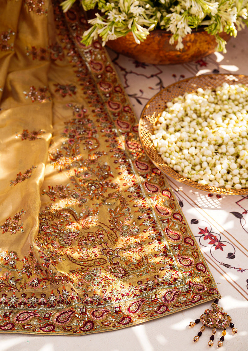 Aik Atelier | Wedding Festive 24 | INDIAN GOLD TISSUE SHAWL