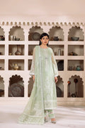 Alizeh | Dua Formals 23 | DUA-V01D04A- MEHRUNISA ( PISTA ) - Khanumjan  Pakistani Clothes and Designer Dresses in UK, USA 