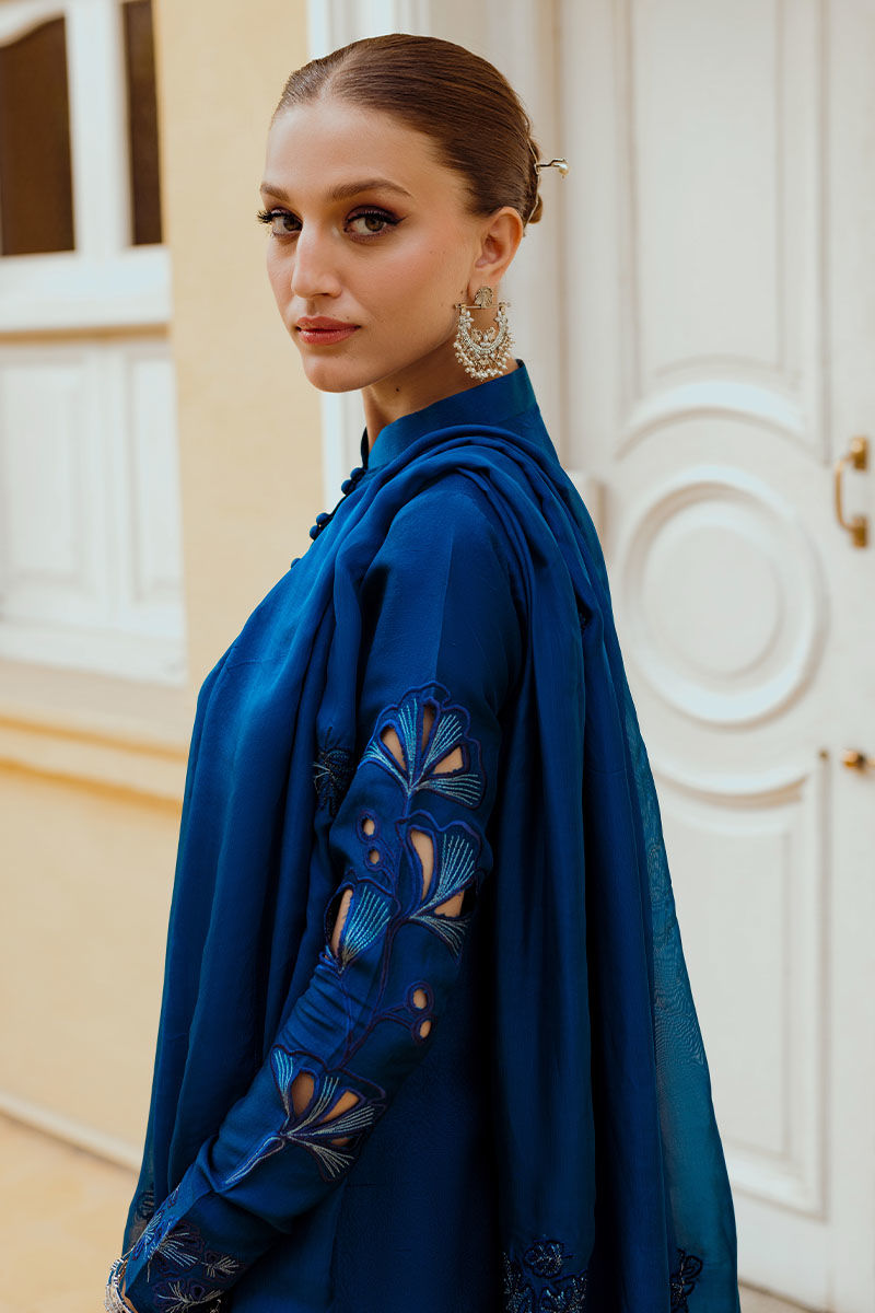 Ansab Jahangir | Luxe Pret Eid 24 | INARA - Khanumjan  Pakistani Clothes and Designer Dresses in UK, USA 