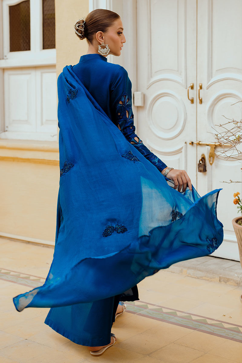 Ansab Jahangir | Luxe Pret Eid 24 | INARA - Khanumjan  Pakistani Clothes and Designer Dresses in UK, USA 