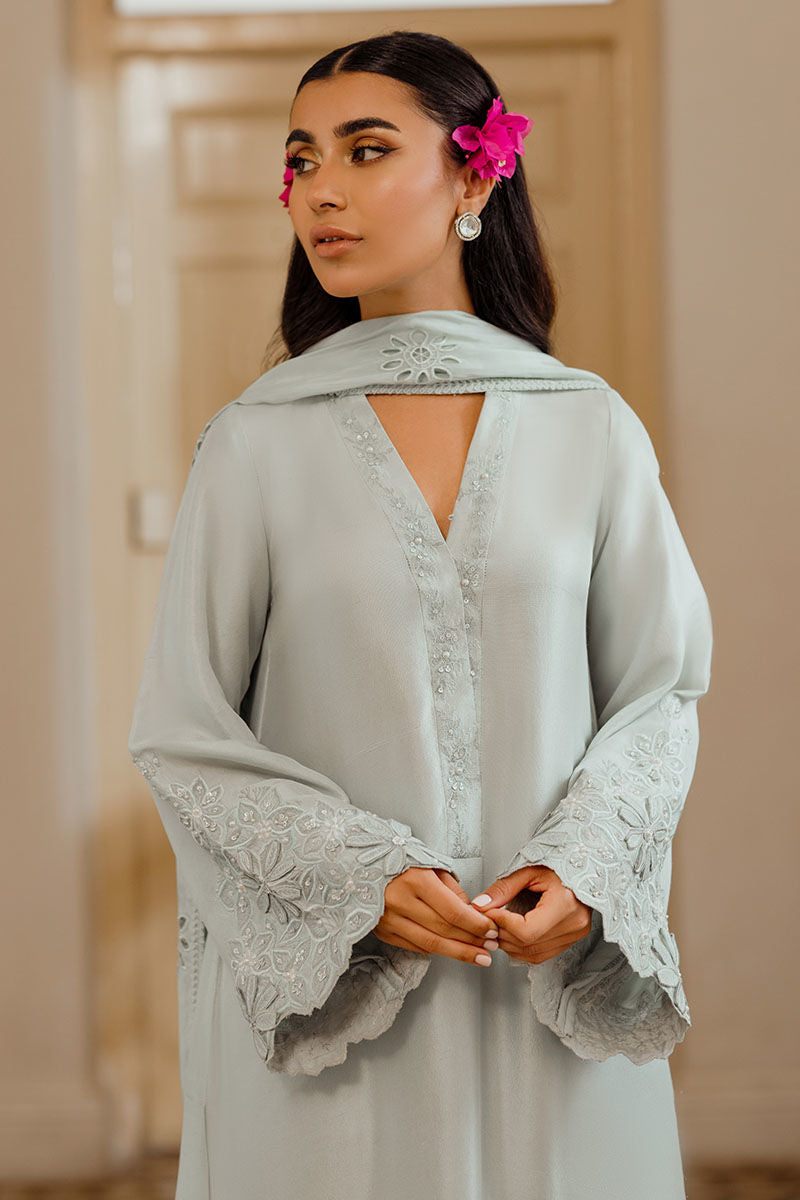 Ansab Jahangir | Luxe Pret Eid 24 | DAANAYA - Khanumjan  Pakistani Clothes and Designer Dresses in UK, USA 