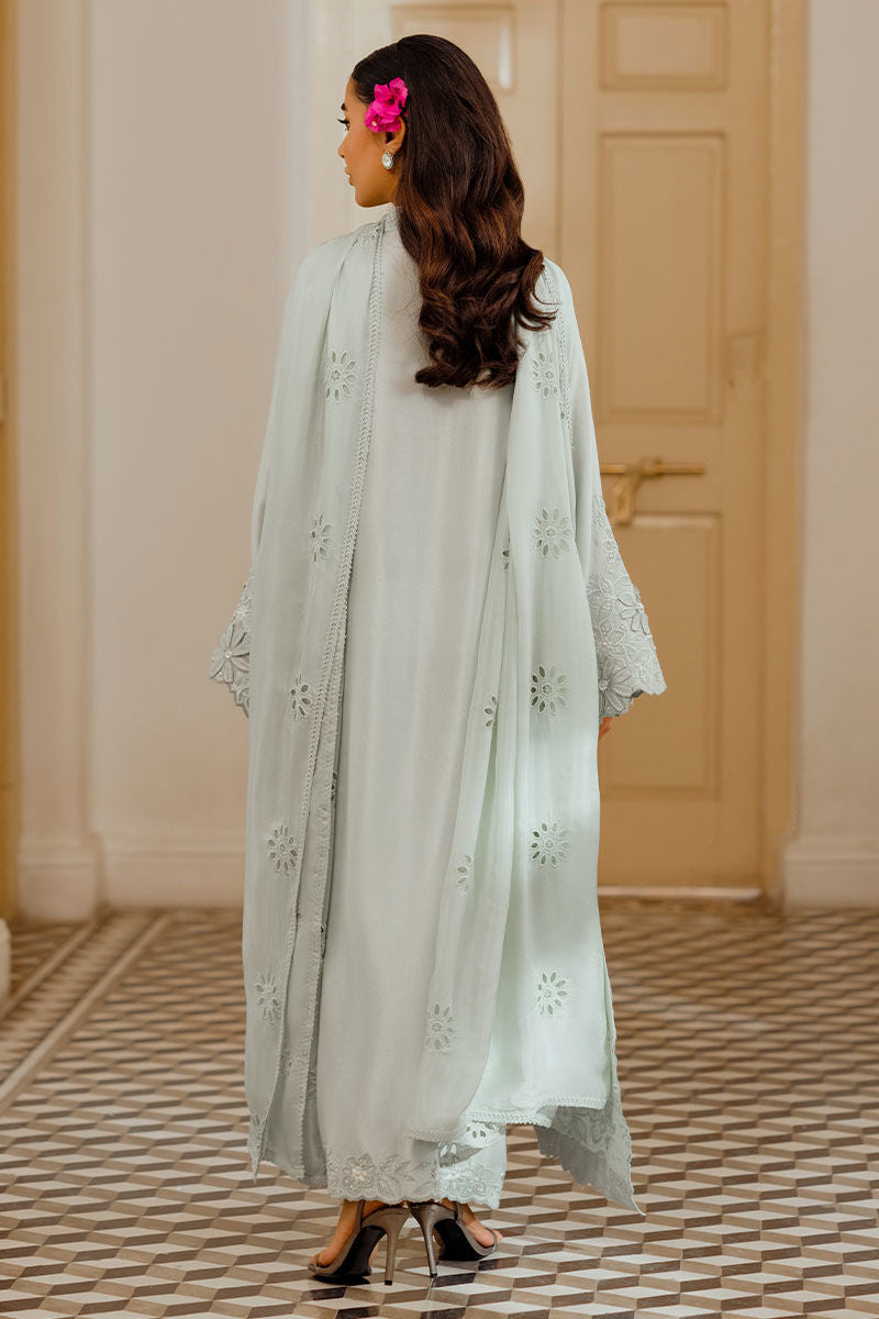 Ansab Jahangir | Luxe Pret Eid 24 | DAANAYA - Khanumjan  Pakistani Clothes and Designer Dresses in UK, USA 