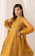 Asifa and Nabeel | Barasti Festive 23 | Chashni (ANB-03) - Khanumjan  Pakistani Clothes and Designer Dresses in UK, USA 