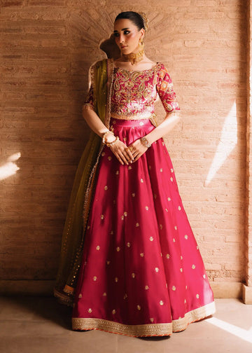 Jeem | Amaltaas Wedding Formals 26 | FUSCHIA ANAYA LEHNGA CHOLI
