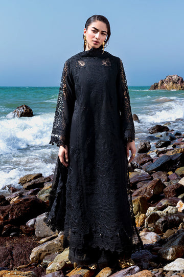 Afsanah | Lost in Waves |A-205